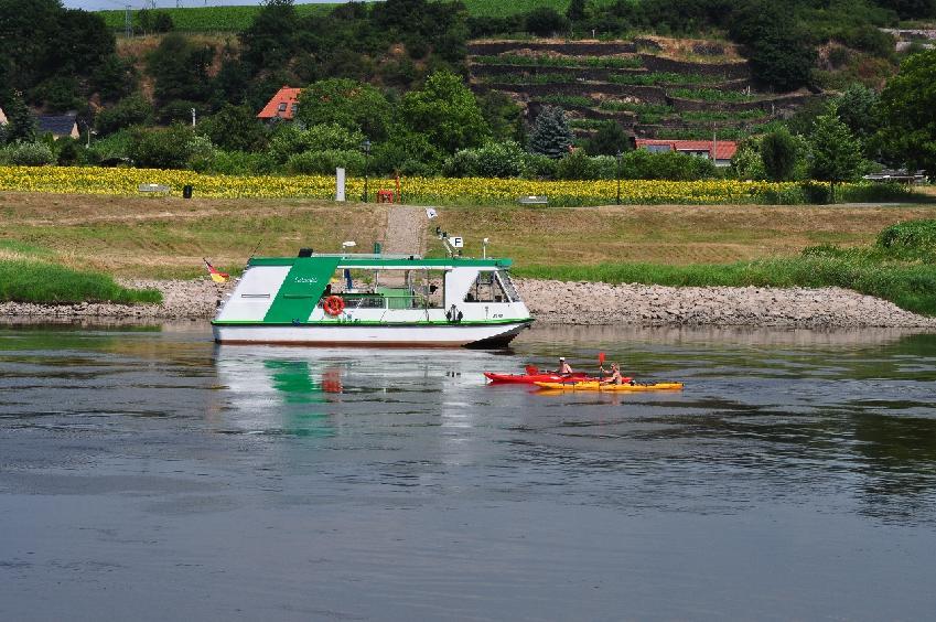 <i><b>239-die Elbe vor Meissen</b></i>